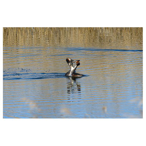 PHOTO84, CLUB, 84 , LUBERON